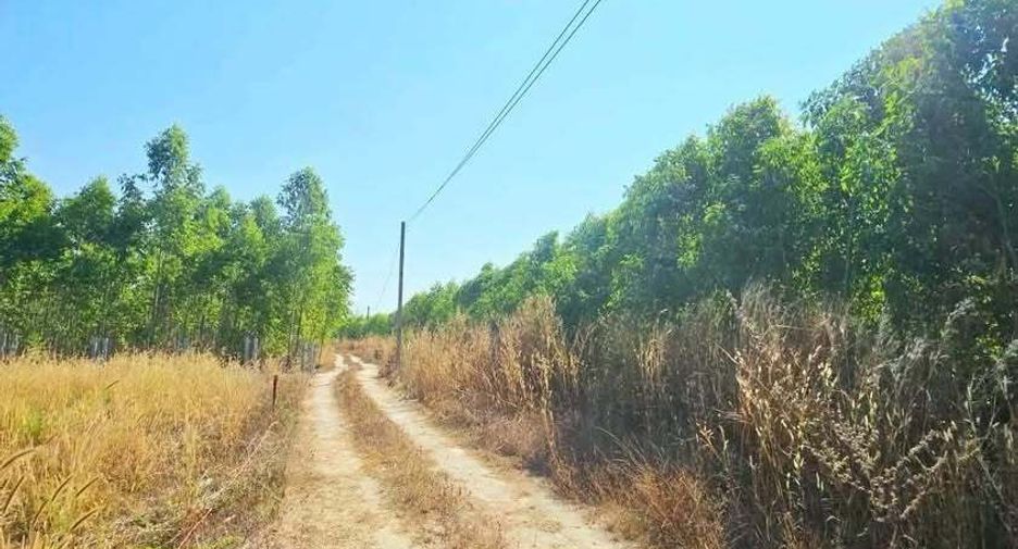 For sale land in Ban Bueng, Chonburi