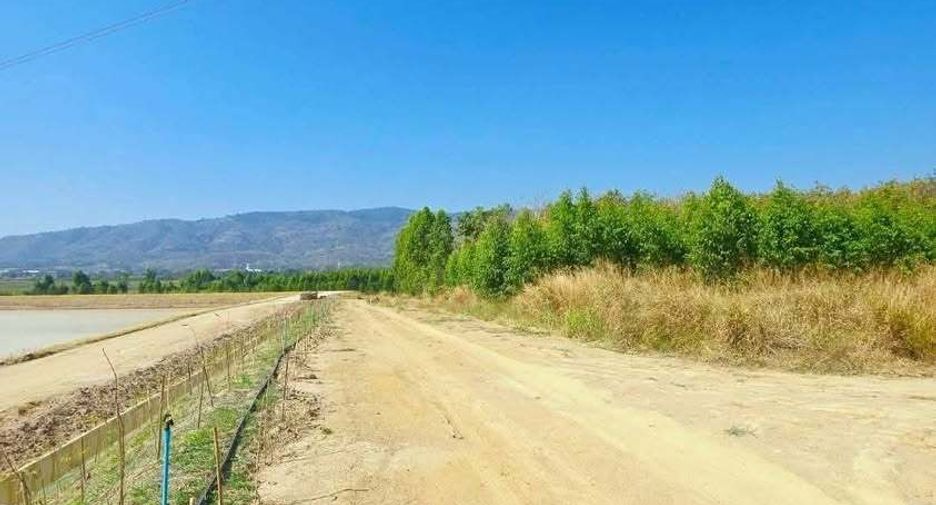For sale land in Ban Bueng, Chonburi