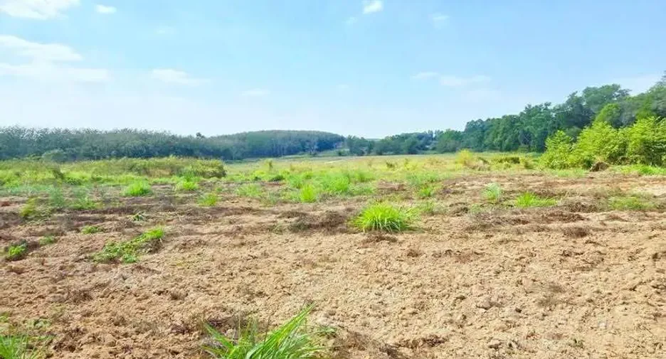 For sale land in Pluak Daeng, Rayong
