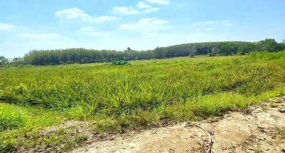 For sale land in Pluak Daeng, Rayong