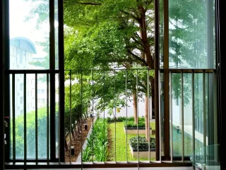 For rent 1 bed condo in Bang Na, Bangkok