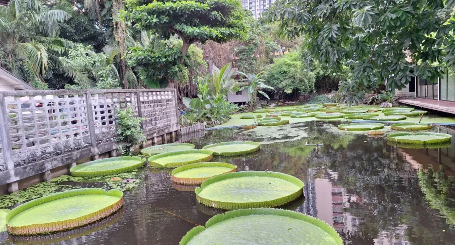 For rent 8 bedrooms house in Pathum Wan, Bangkok