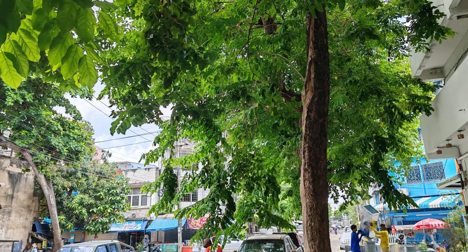 For rent retail Space in Bang Kho Laem, Bangkok