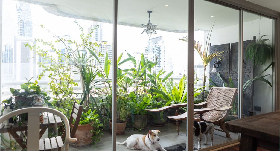 For rent 4 bedrooms condo in Khlong Toei, Bangkok