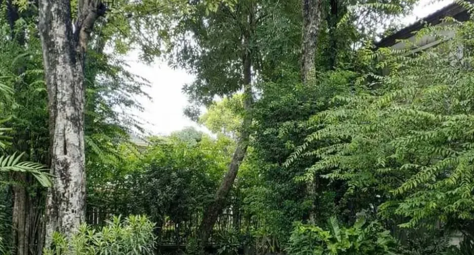 For rent 4 bedrooms house in Saphan Sung, Bangkok