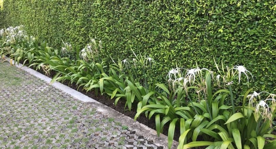 For rent 2 bedrooms house in Phra Khanong, Bangkok