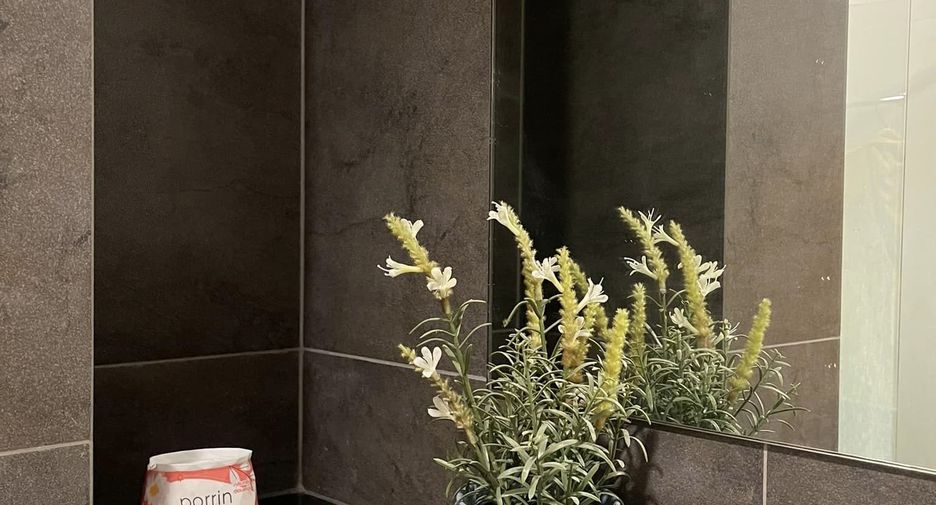 For rent 1 bed condo in Bang Phlat, Bangkok