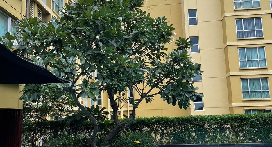 For rent 1 bed condo in Watthana, Bangkok