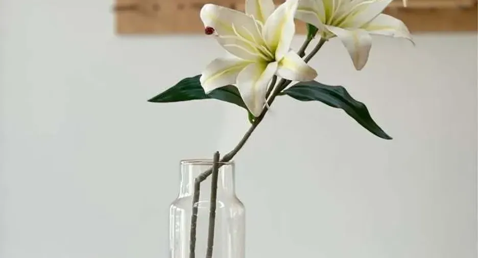 For rent 4 ベッドルーム townhouse in Watthana, Bangkok