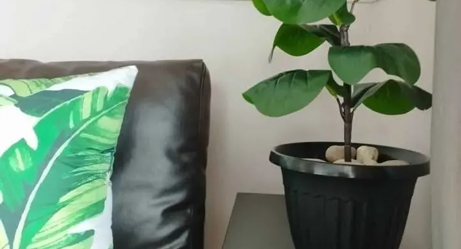 For rent 1 bed condo in Bang Khae, Bangkok