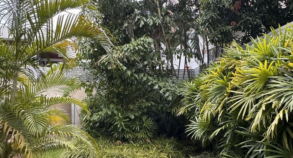 For rent 4 bedrooms house in Watthana, Bangkok