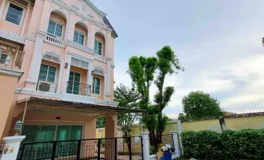 ให้เช่า 4 ห้องนอน ทาวน์เฮ้าส์ ใน ภาษีเจริญ, กรุงเทพฯ