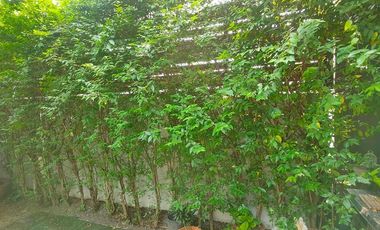 For rent 3 bedrooms townhouse in Phasi Charoen, Bangkok