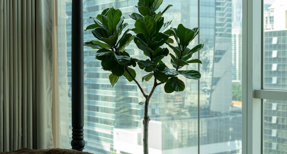 Condo en alquiler de 4 habitaciones en Pathum Wan, Bangkok