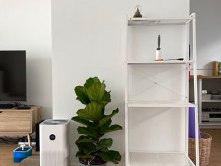 出租 3 卧室 独立屋 在 Prawet, 曼谷