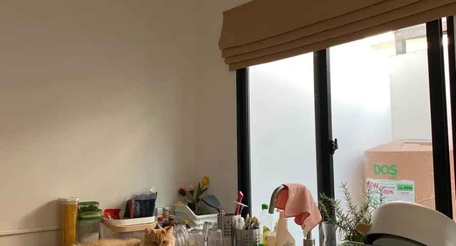 For rent 3 bedrooms house in Prawet, Bangkok