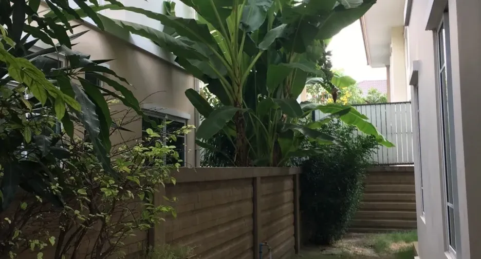 For rent 3 bedrooms house in Suan Luang, Bangkok