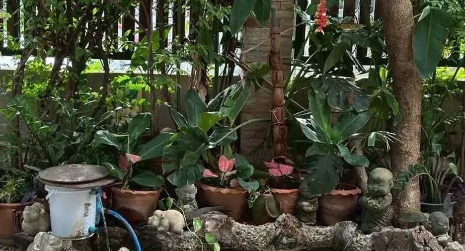 For rent 5 bedrooms house in Wang Thonglang, Bangkok