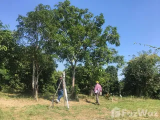 For sale land in San Kamphaeng, Chiang Mai