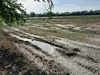 For sale land in Mueang Phichit, Phichit