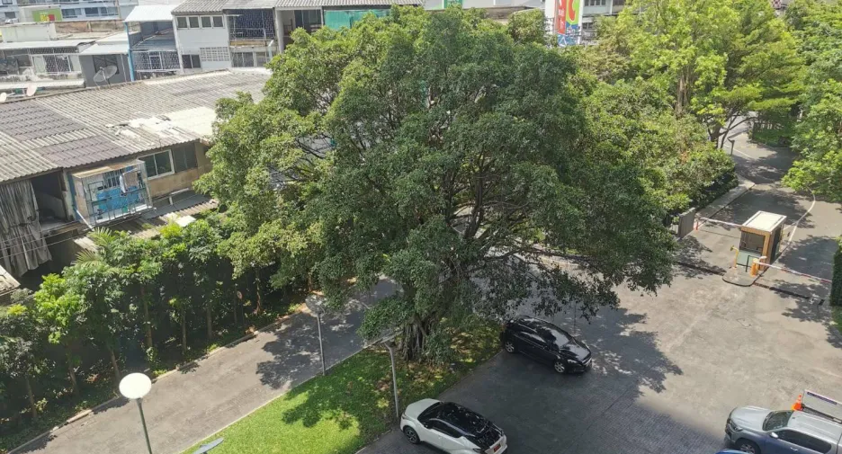Wohnung zur Miete mit 1 Zimmer in Chatuchak, Bangkok