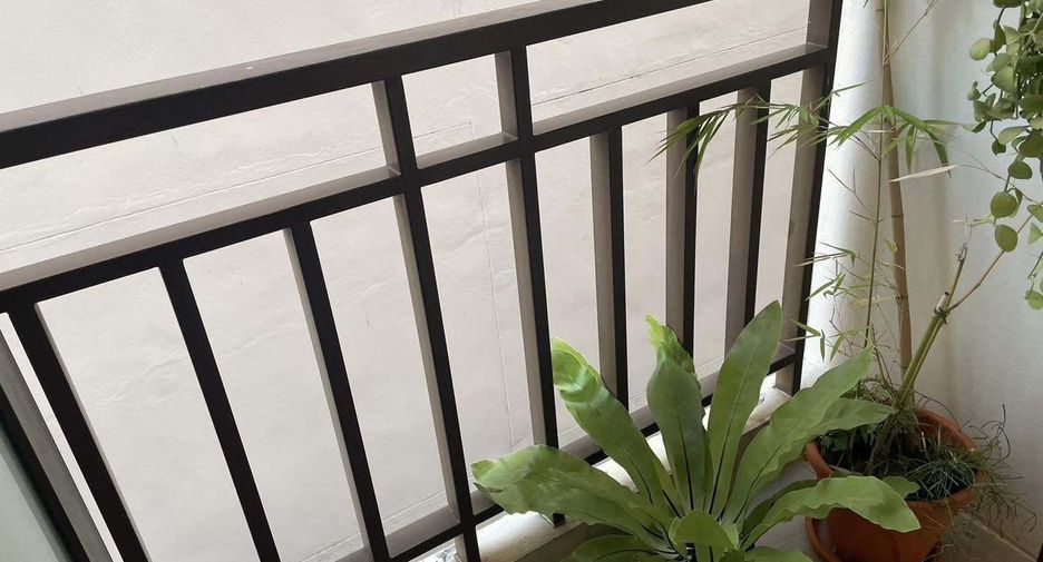 For rent studio condo in Khlong Toei, Bangkok