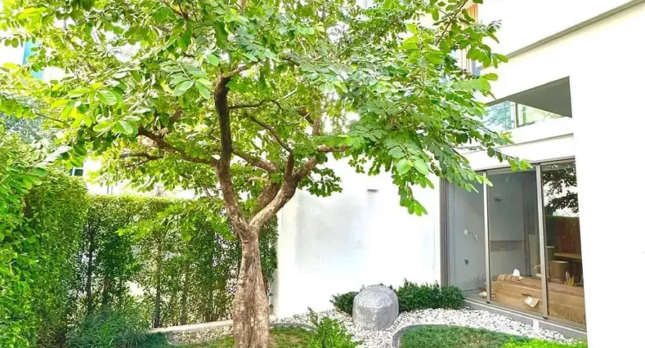 For rent 3 bedrooms house in Saphan Sung, Bangkok