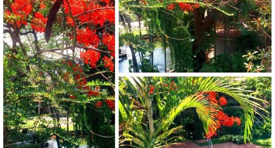 For rent 4 bedrooms house in Bang Kho Laem, Bangkok