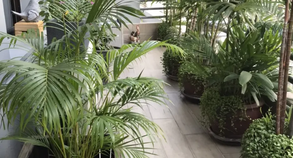 For rent 3 bedrooms condo in Sathon, Bangkok