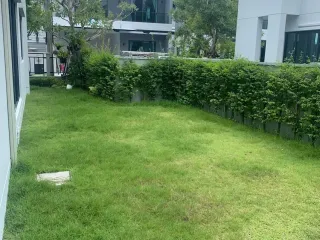 For rent 4 ベッドルーム house in Sai Mai, Bangkok