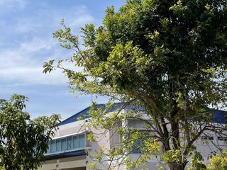 For rent studio house in Thawi Watthana, Bangkok