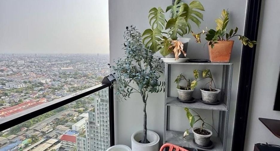 For rent 1 bed condo in Chom Thong, Bangkok