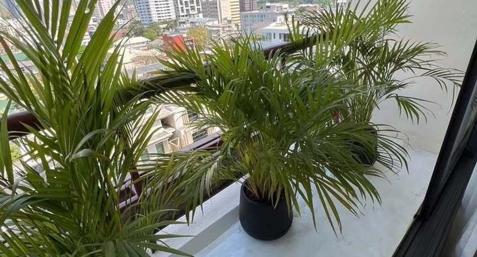 For rent 2 bedrooms condo in Khlong Toei, Bangkok