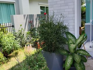 ให้เช่า 3 ห้องนอน บ้านเดี่ยว ใน บางบ่อ, สมุทรปราการ