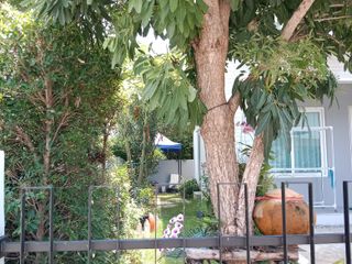 ให้เช่า 3 ห้องนอน บ้านเดี่ยว ใน บางบ่อ, สมุทรปราการ