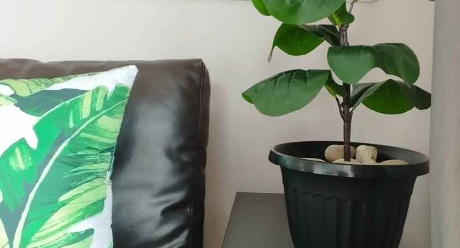Wohnung zur Miete mit 1 Zimmer in Phasi Charoen, Bangkok