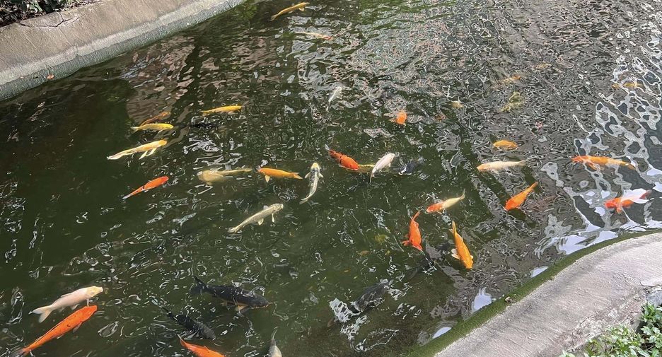 For rent 1 bed condo in Chatuchak, Bangkok