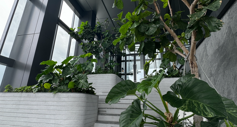 For rent 1 bed condo in Ratchathewi, Bangkok