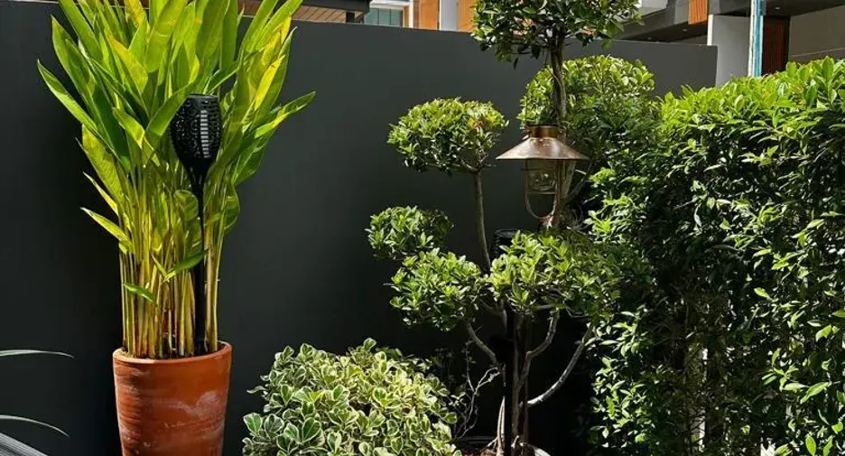 Casa en alquiler de 3 habitaciones en Suan Luang, Bangkok