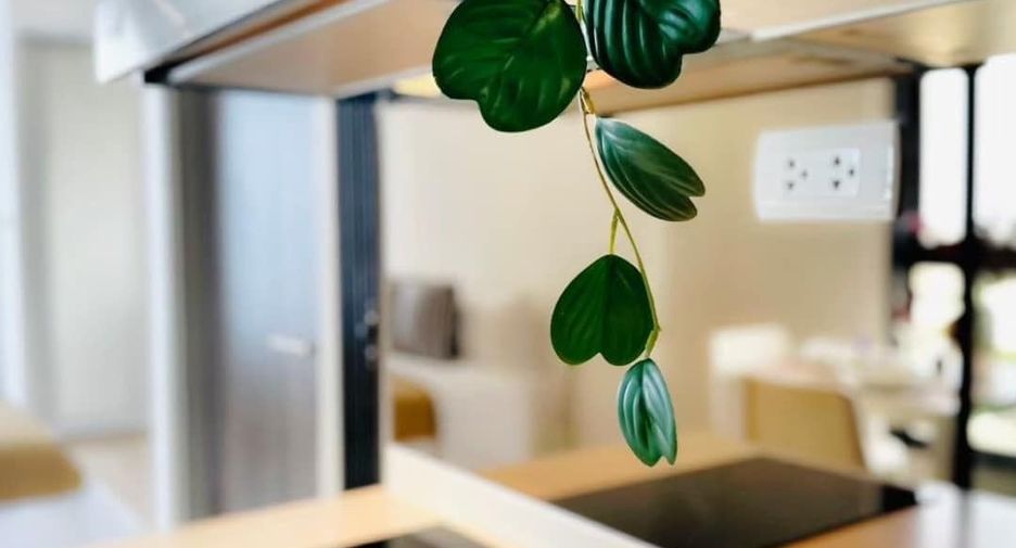 For rent スタジオ condo in Suan Luang, Bangkok