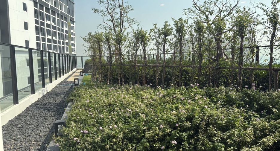 For rent 3 bedrooms condo in Huai Khwang, Bangkok