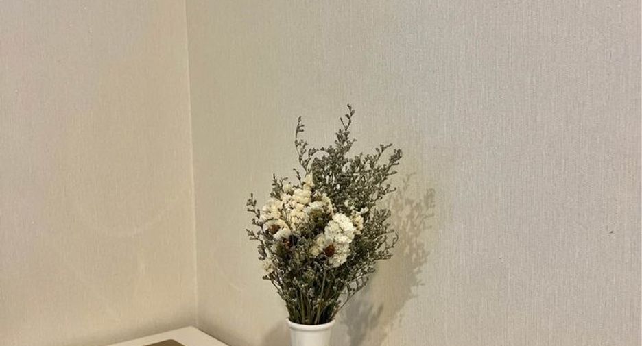 For rent 1 Beds condo in Bang Na, Bangkok