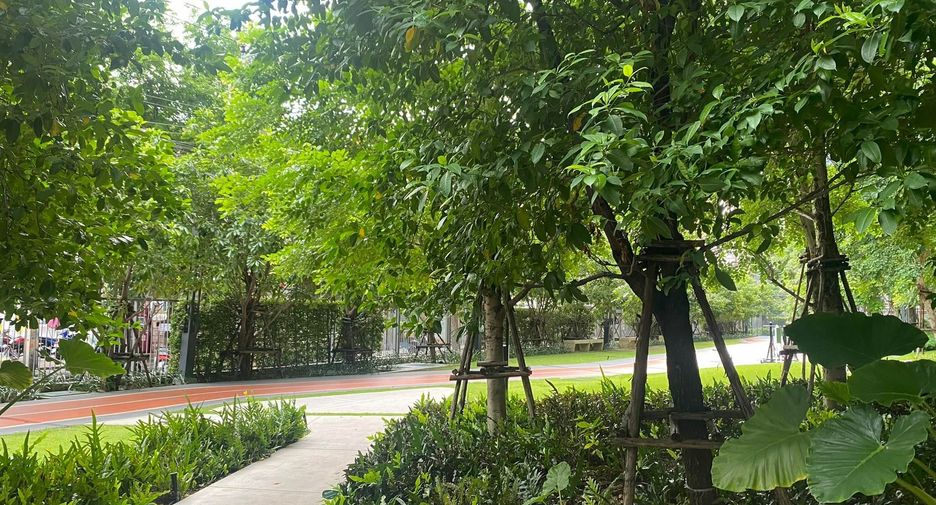 For rent studio condo in Phaya Thai, Bangkok