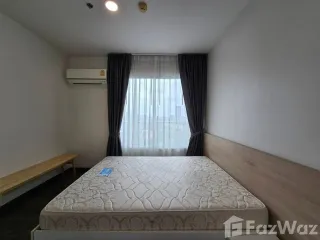 For rent 1 Beds condo in Bang Na, Bangkok