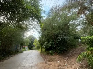 For sale land in Ko Samui, Surat Thani
