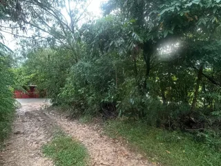 For sale land in Ko Samui, Surat Thani