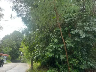 For sale land in Ko Samui, Surat Thani