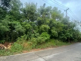 For sale land in Ko Samui, Surat Thani