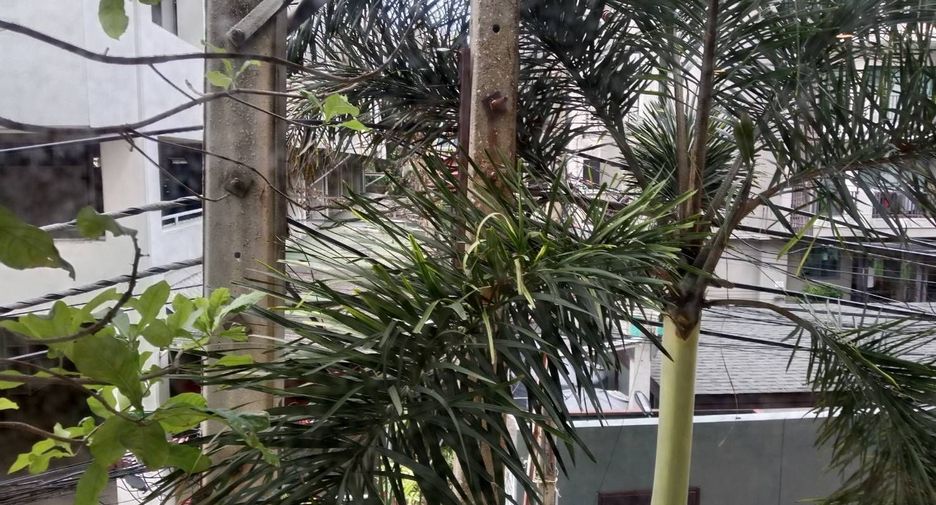 For rent 3 bedrooms condo in Watthana, Bangkok