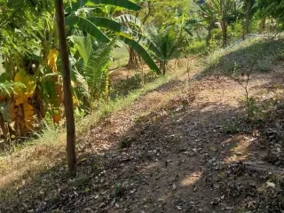 Terreno en venta en Ko Kha, Lampang